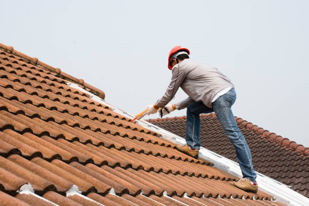 Best Roof Insulation Installation  in Seal Beach, CA